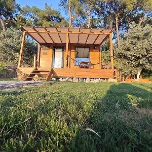  Campingplatz Tiny Mini House